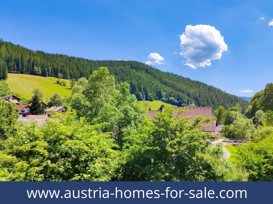 austria-homes-for-sale-altenberg-8691-20251204054829-0050401010.jpg