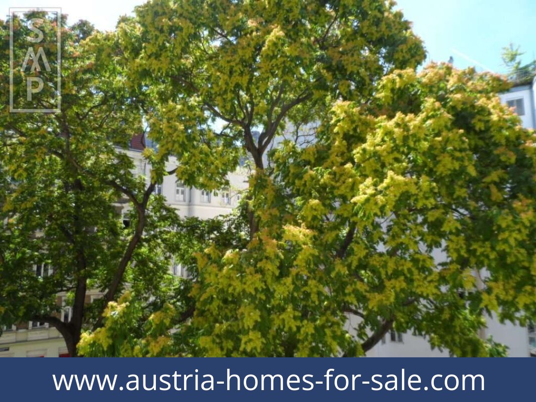 austria-homes-for-sale-becs-1020-20251213234759-0053801012.jpg austria-homes-for-sale-becs-1020-20251213234759-0053801012.jpg