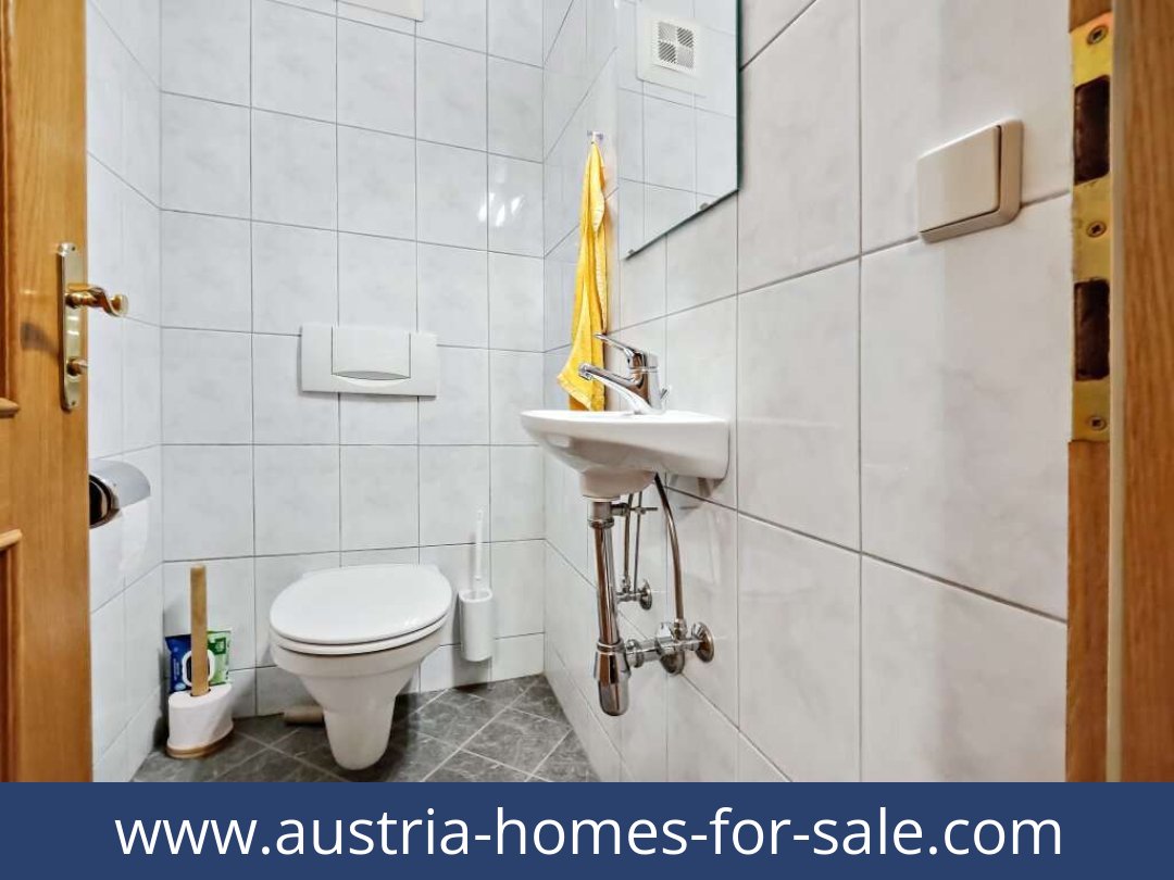austria-homes-for-sale-birnbaum-9652-20250918224850-0010001015.jpg