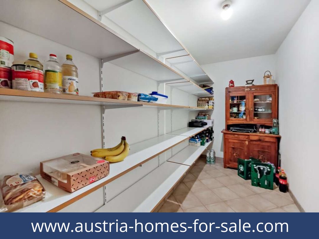 austria-homes-for-sale-birnbaum-9652-20250918224850-0010001020.jpg
