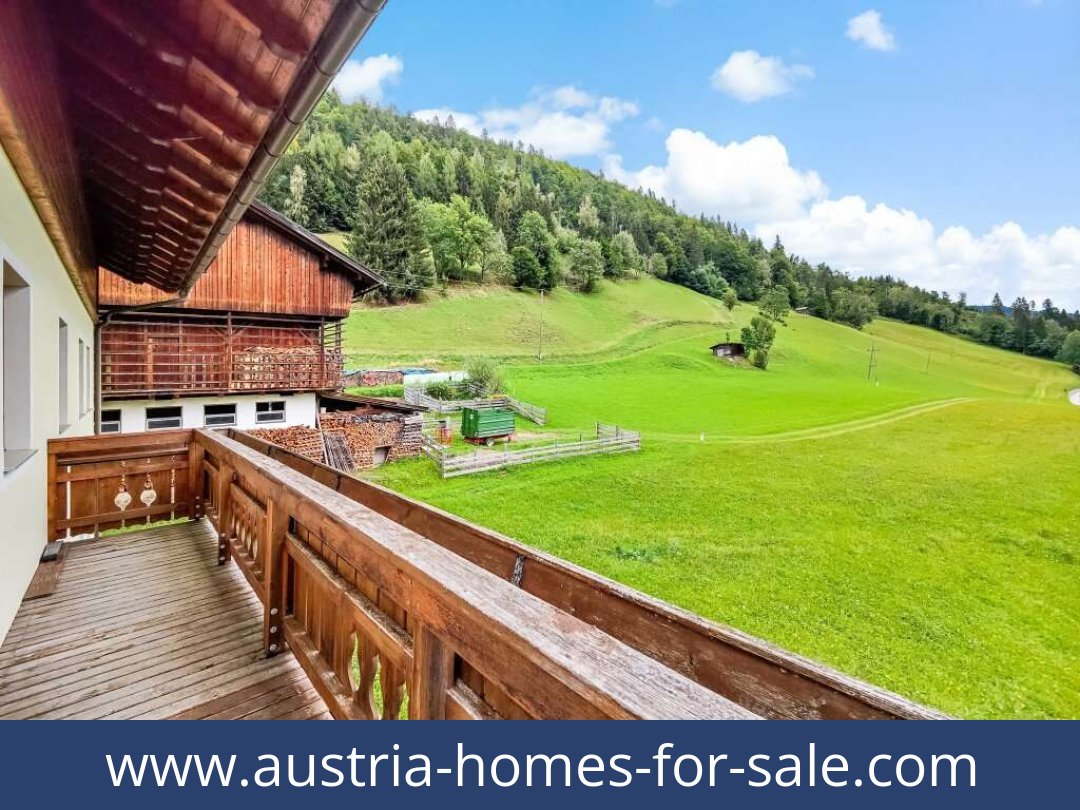 austria-homes-for-sale-birnbaum-9652-20250918224850-0010001027.jpg