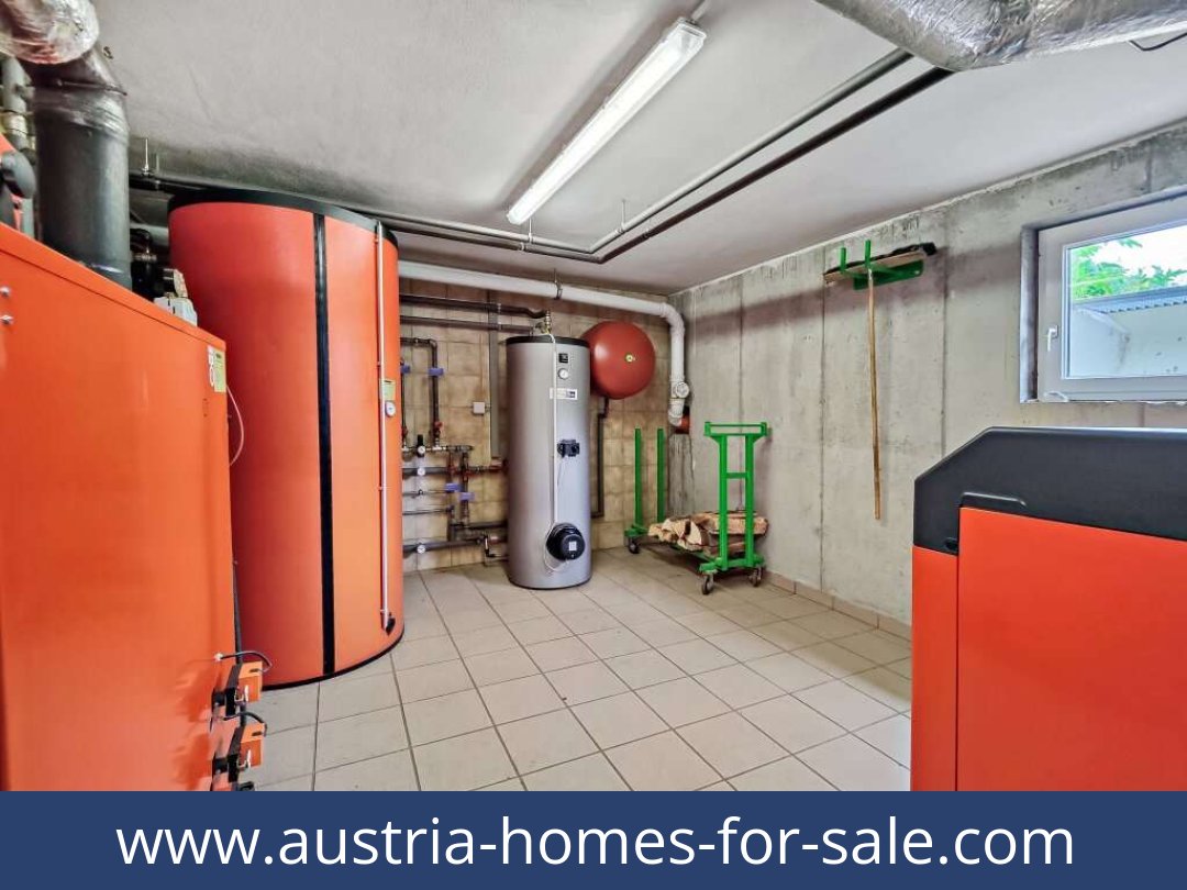 austria-homes-for-sale-birnbaum-9652-20250918224850-0010001033.jpg