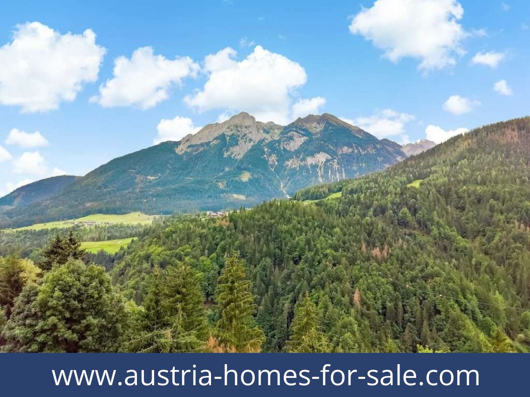 austria-homes-for-sale-birnbaum-9652-20250918224850-0010001039.jpg
