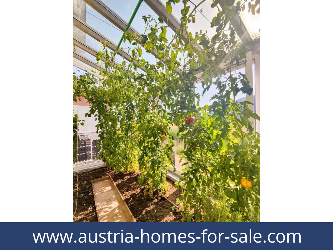 austria-homes-for-sale-feldkirchen-9560-20260118044820-0057501036.jpg