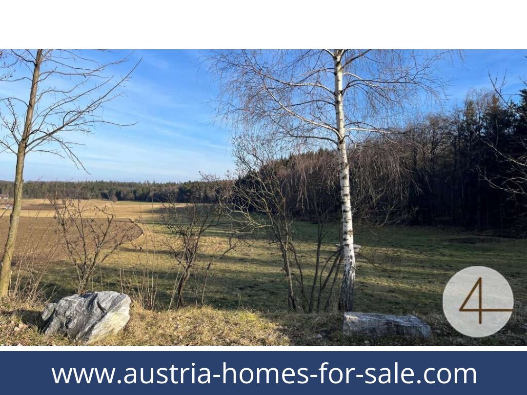 austria-homes-for-sale-gfoll-3542-20250918181836-0007501010.jpg