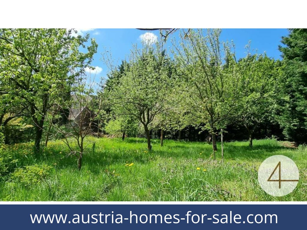 austria-homes-for-sale-gopfritzschlag-3822-20250921111837-0028101003.jpg