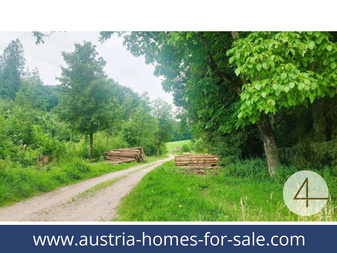 austria-homes-for-sale-gresten-3264-20250921201837-0030501003.jpg