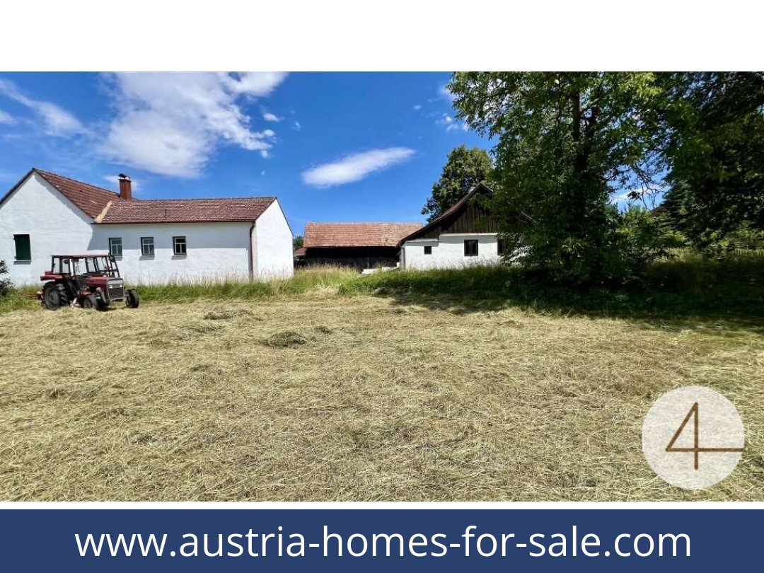 austria-homes-for-sale-harth-3753-20261021213406-45b2f8c0-0058501001.jpg austria-homes-for-sale-harth-3753-20261021213406-45b2f8c0-0058501001.jpg