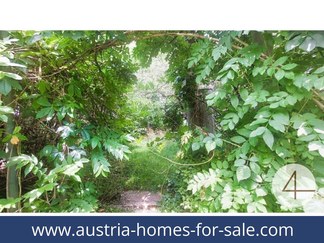 austria-homes-for-sale-heidenreichstein-3860-20261021222326-d034c962-0021701008.jpg austria-homes-for-sale-heidenreichstein-3860-20261021222326-d034c962-0021701008.jpg