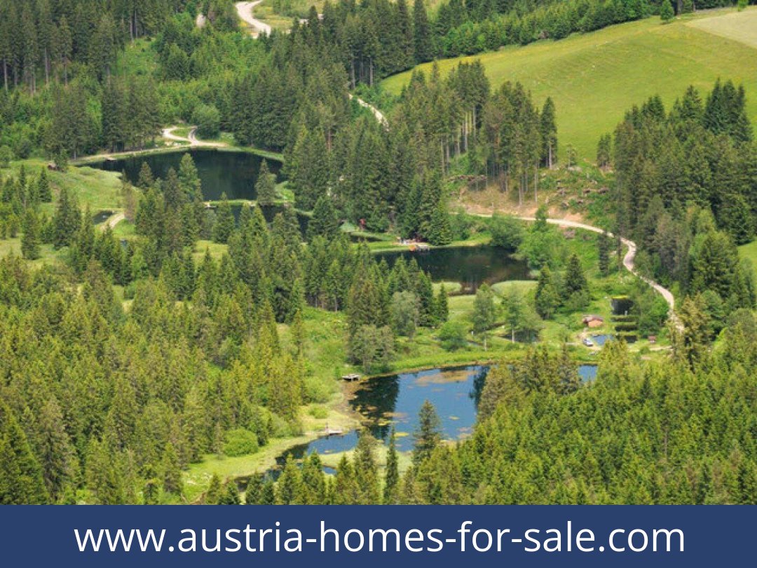 austria-homes-for-sale-hohentauern-8785-20260118021800-0057011011.jpg