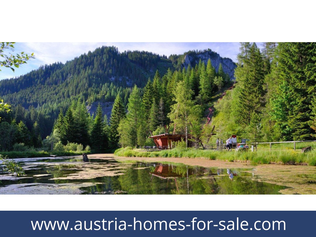austria-homes-for-sale-hohentauern-8785-20260118021800-0057011012.jpg