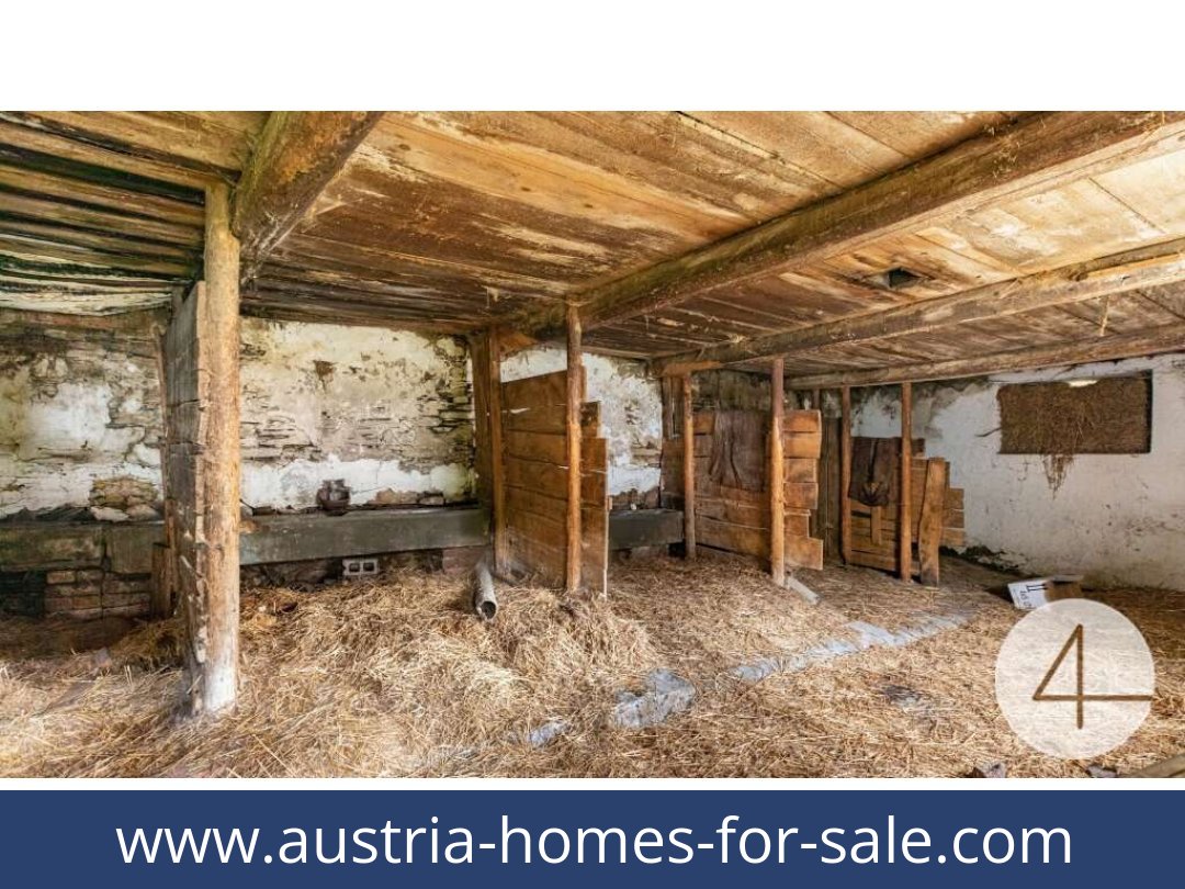 austria-homes-for-sale-horn-3580-20250921081805-0027301004.jpg