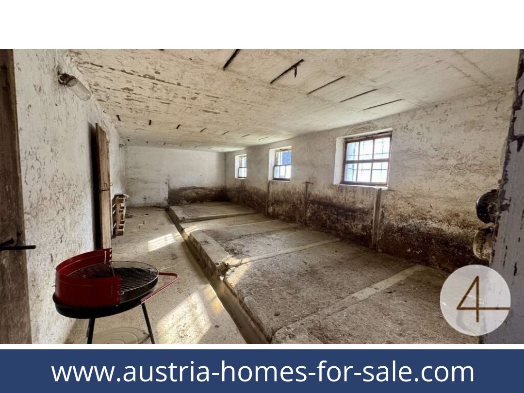 austria-homes-for-sale-japons-3763-20251201054754-0042501004.jpg