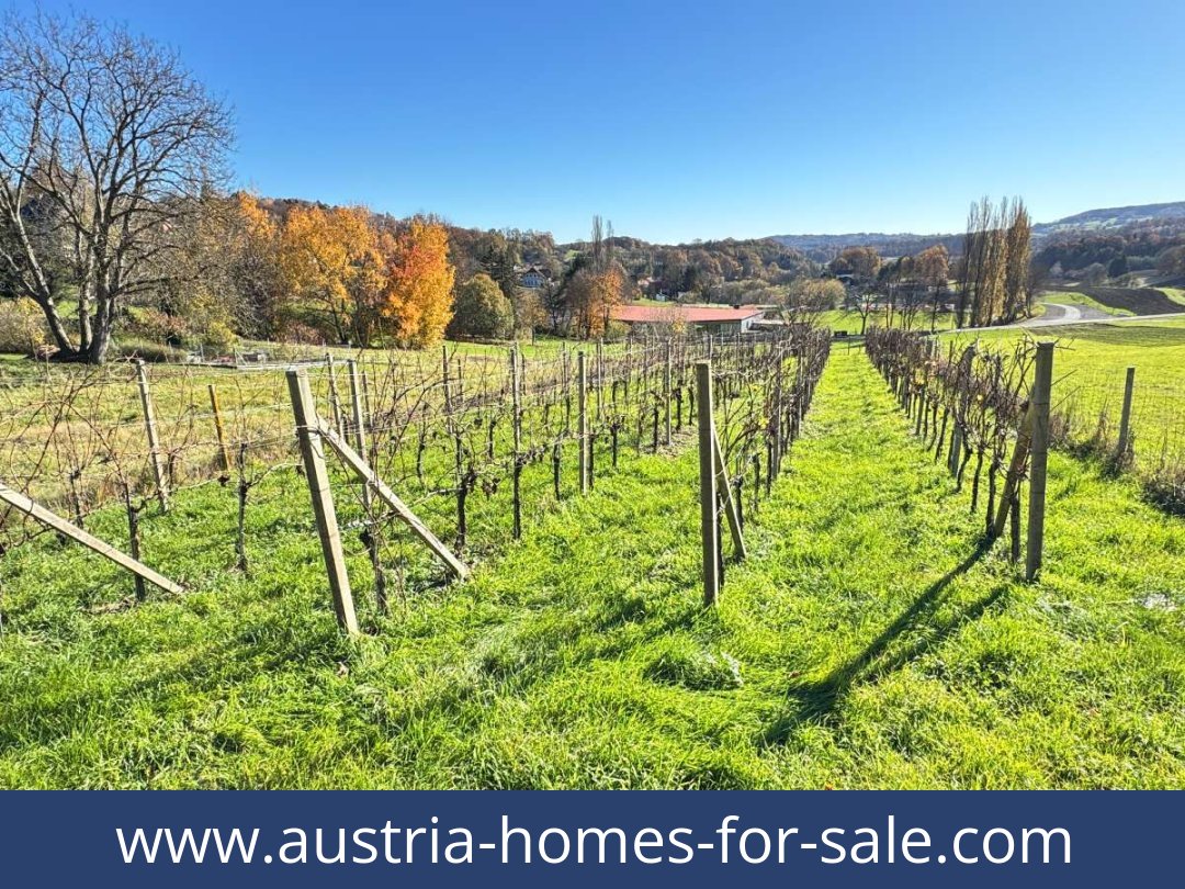 austria-homes-for-sale-kapfenstein-8353-20261021215434-05d707da-0046301023.jpg