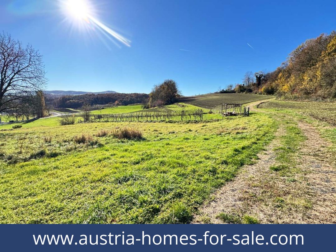 austria-homes-for-sale-kapfenstein-8353-20261021215434-05d707da-0046301038.jpg