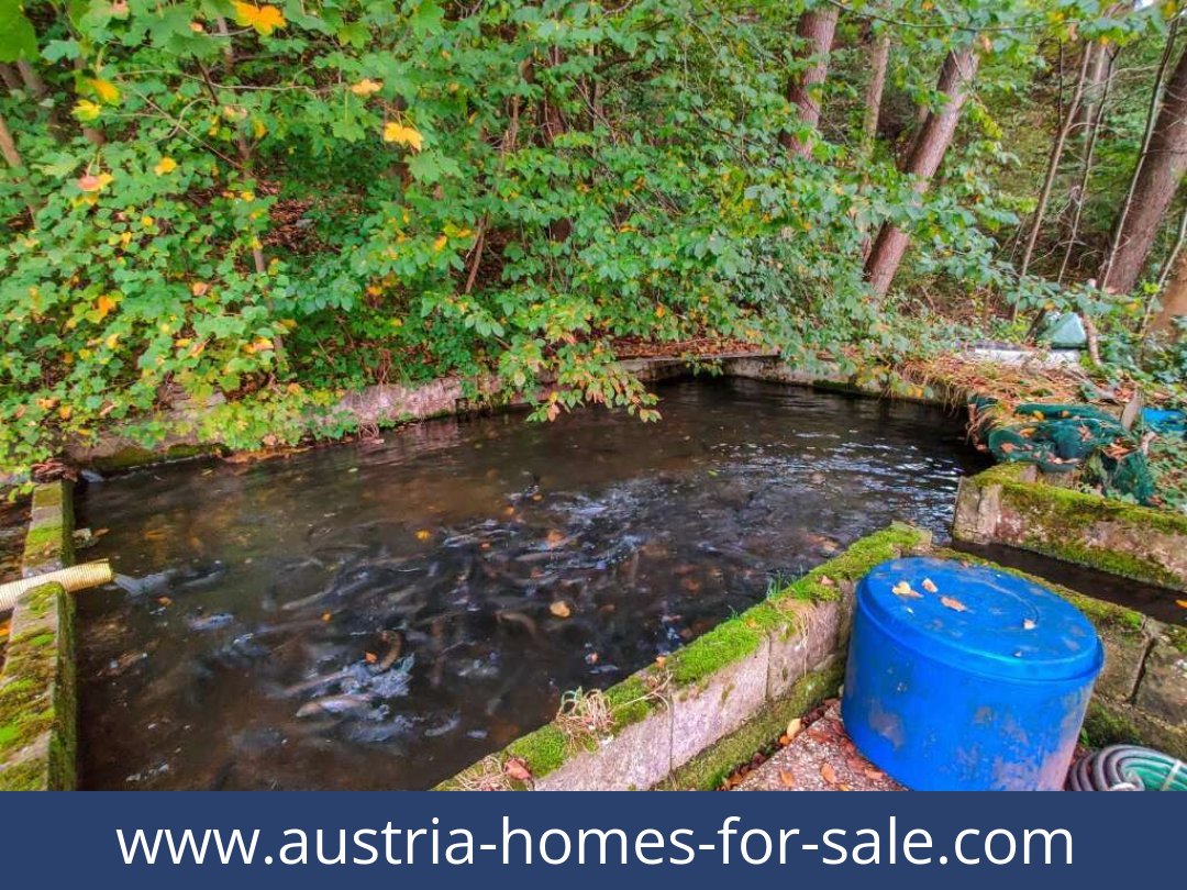 austria-homes-for-sale-lambach-4650-20250921011729-0025301022.jpg