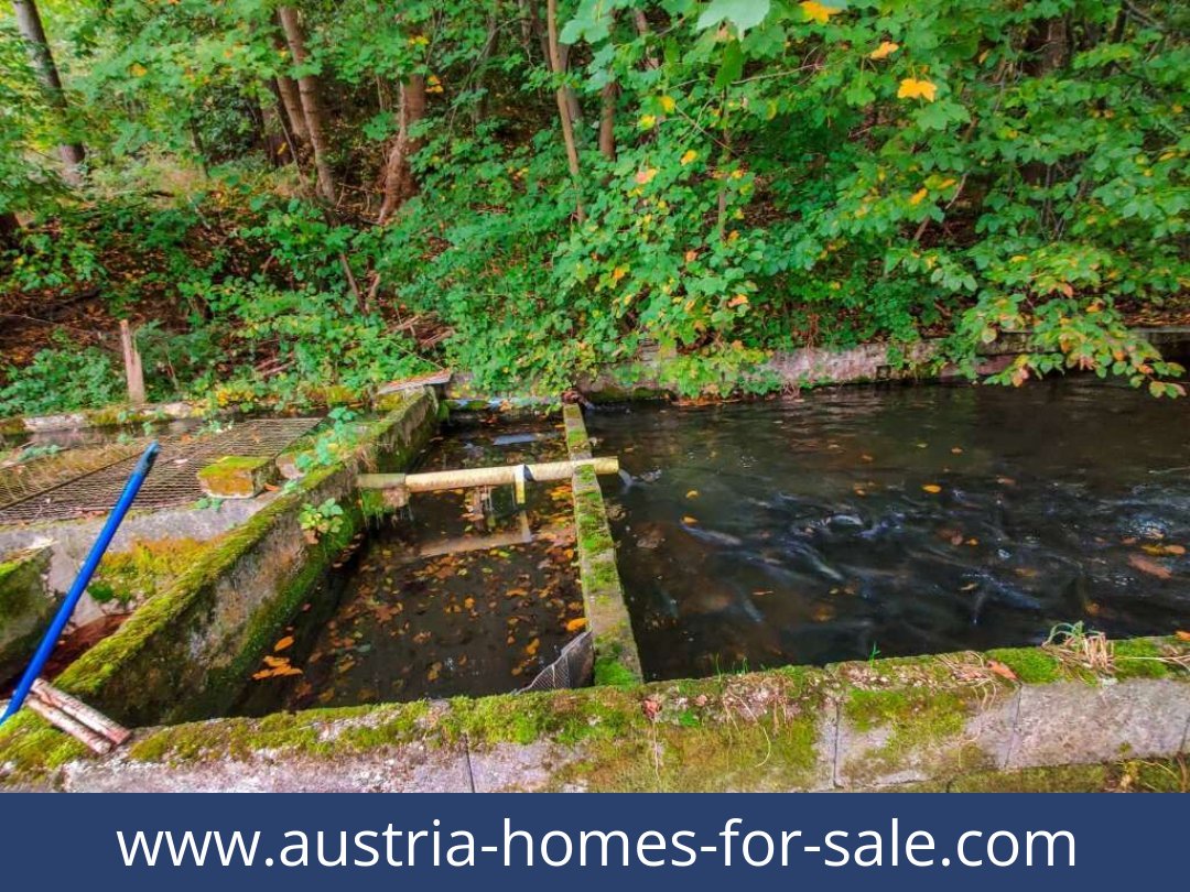 austria-homes-for-sale-lambach-4650-20250921011729-0025301023.jpg