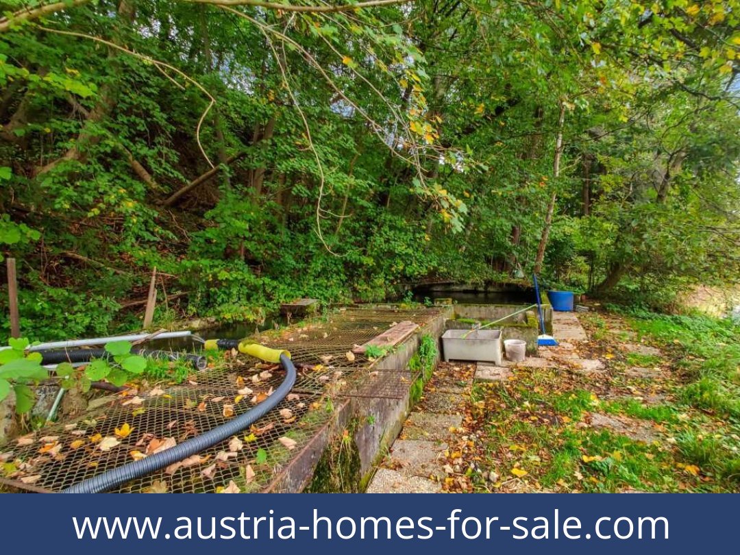 austria-homes-for-sale-lambach-4650-20250921011729-0025301024.jpg
