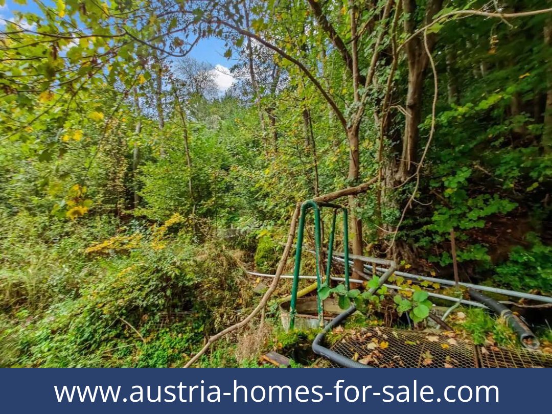 austria-homes-for-sale-lambach-4650-20250921011729-0025301025.jpg
