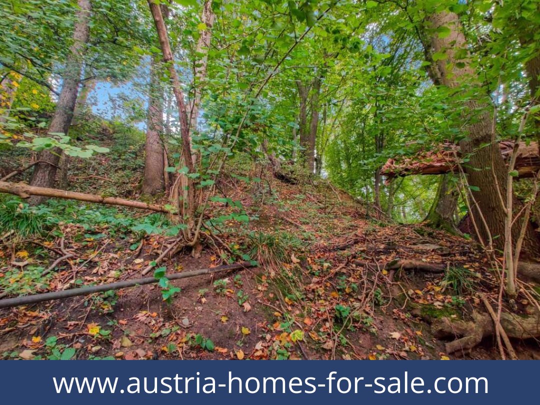 austria-homes-for-sale-lambach-4650-20250921011729-0025301026.jpg