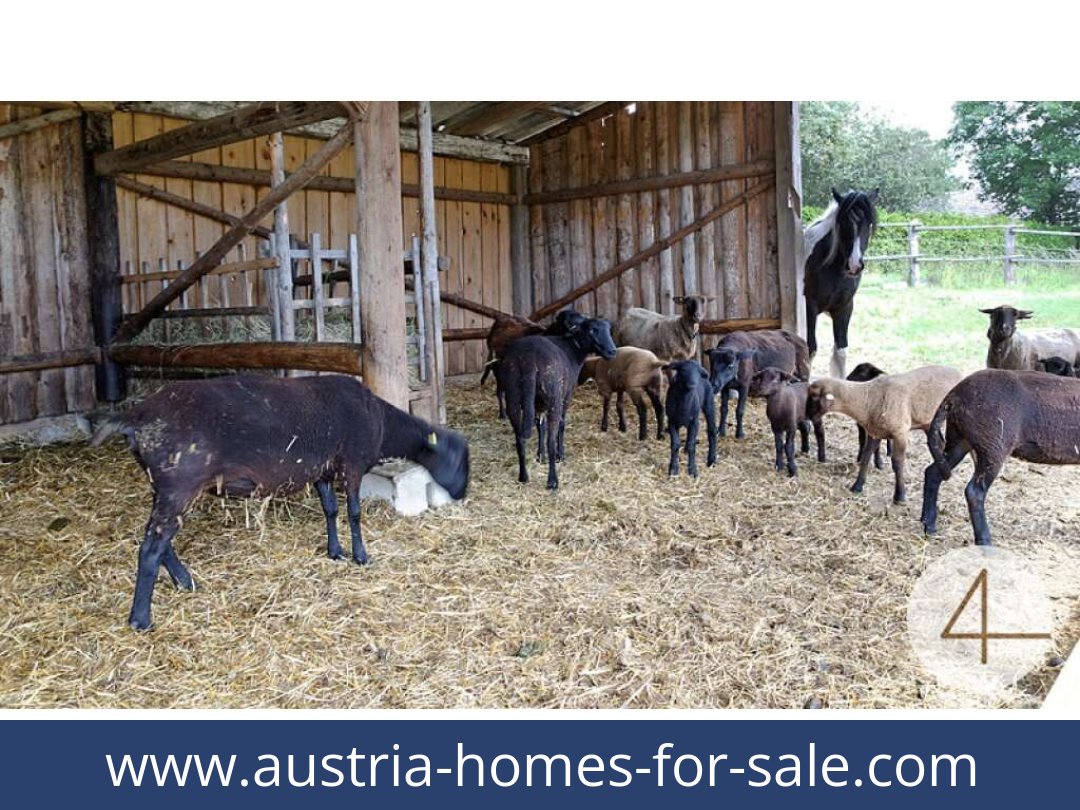 austria-homes-for-sale-lichtenberg-3841-20250919034834-0011701008.jpg