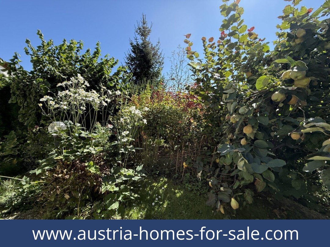 austria-homes-for-sale-liezen-8940-20251202041826-0044711030.jpg
