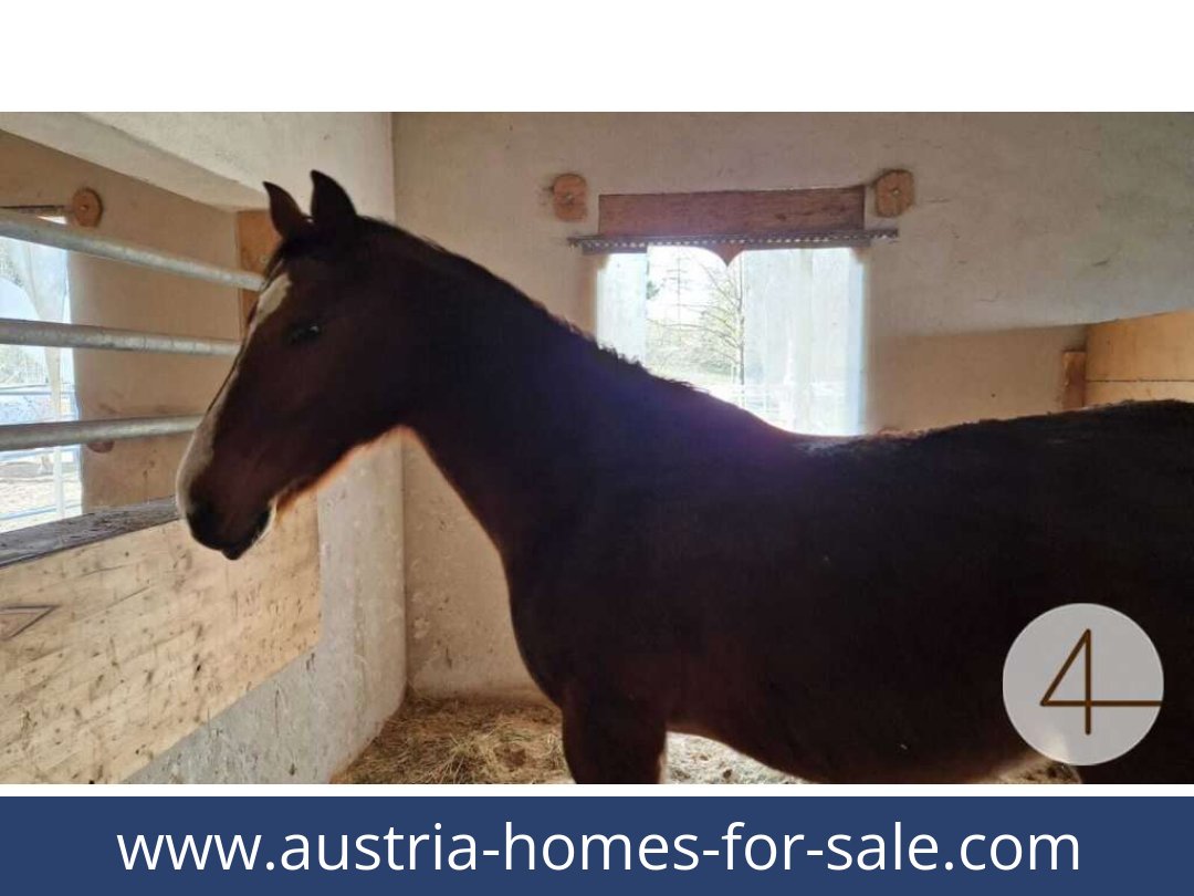 austria-homes-for-sale-mank-3240-20260118204859-0059401009.jpg