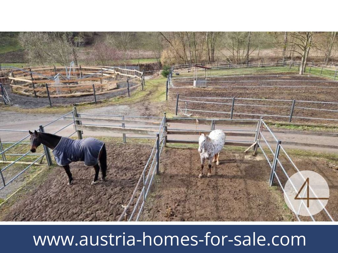 austria-homes-for-sale-mank-3240-20260118204859-0059401034.jpg