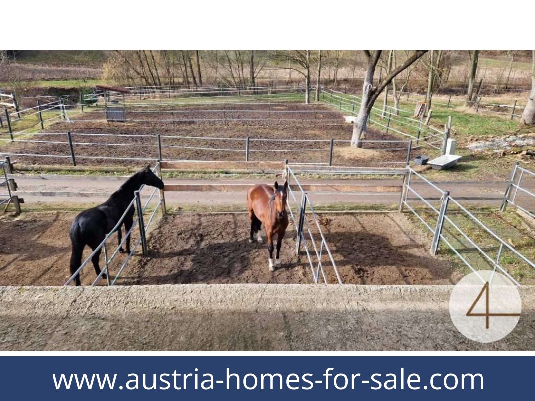 austria-homes-for-sale-mank-3240-20260118204859-0059401046.jpg