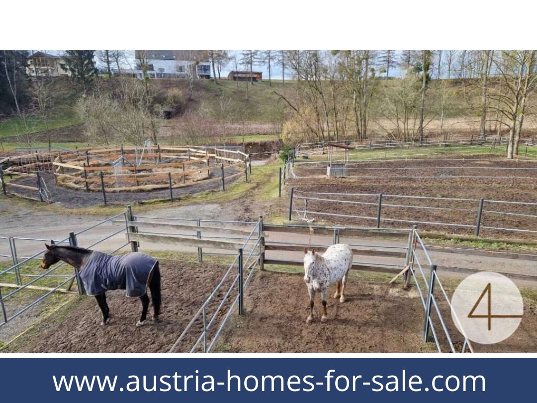 austria-homes-for-sale-mank-3240-20260118204859-0059401052.jpg
