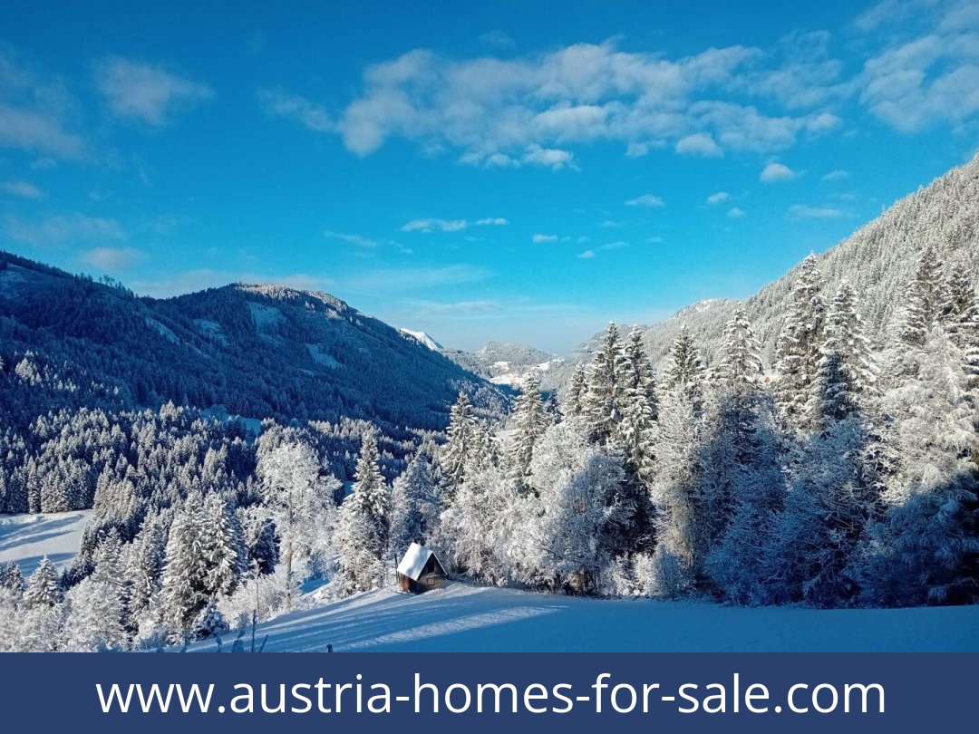 austria-homes-for-sale-oppenberg-8786-20251202051838-0044811002.jpg