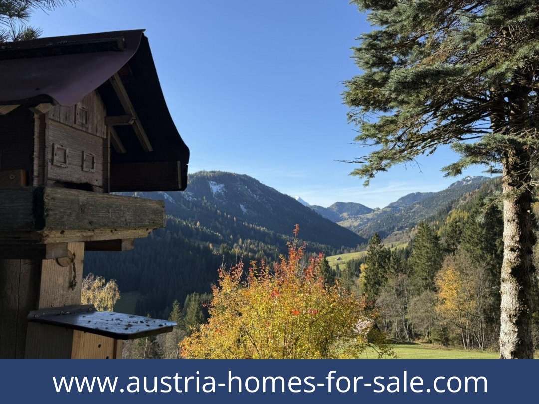 austria-homes-for-sale-oppenberg-8786-20251202051838-0044811003.jpg
