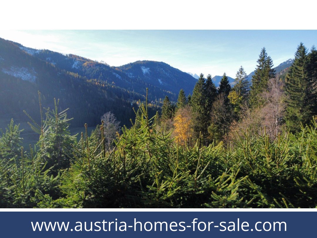 austria-homes-for-sale-oppenberg-8786-20251202051838-0044811035.jpg