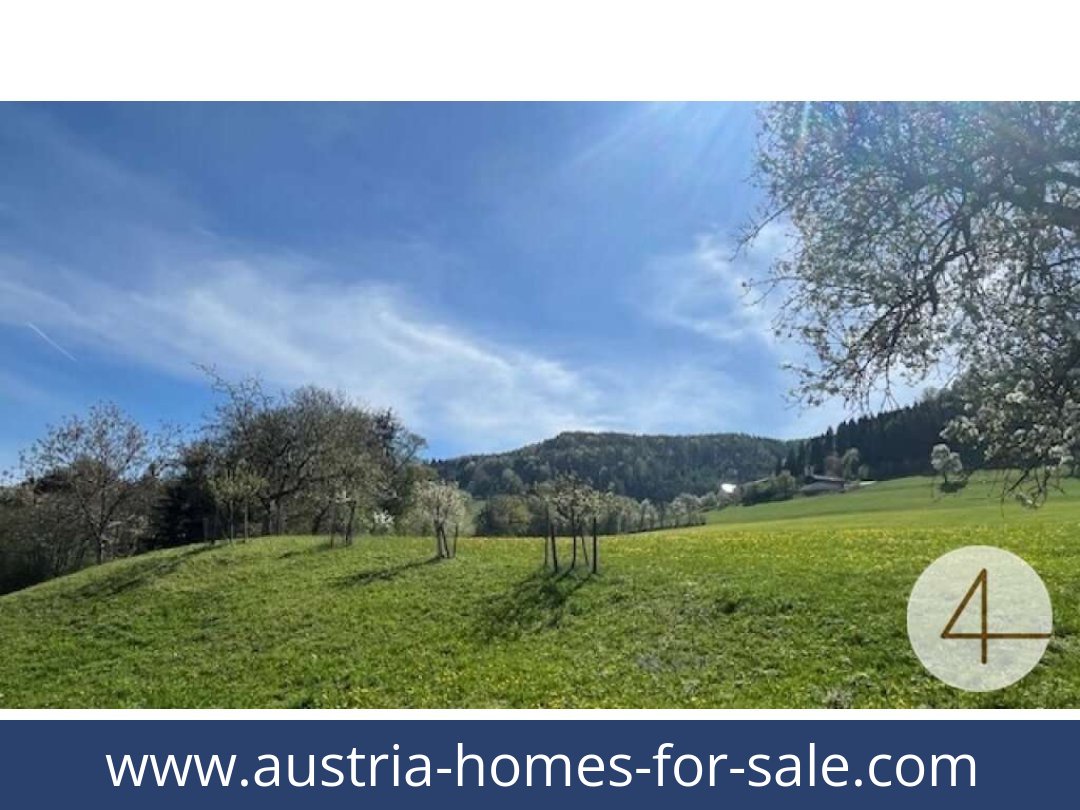 austria-homes-for-sale-perwarth-3263-20250921114900-0028201006.jpg