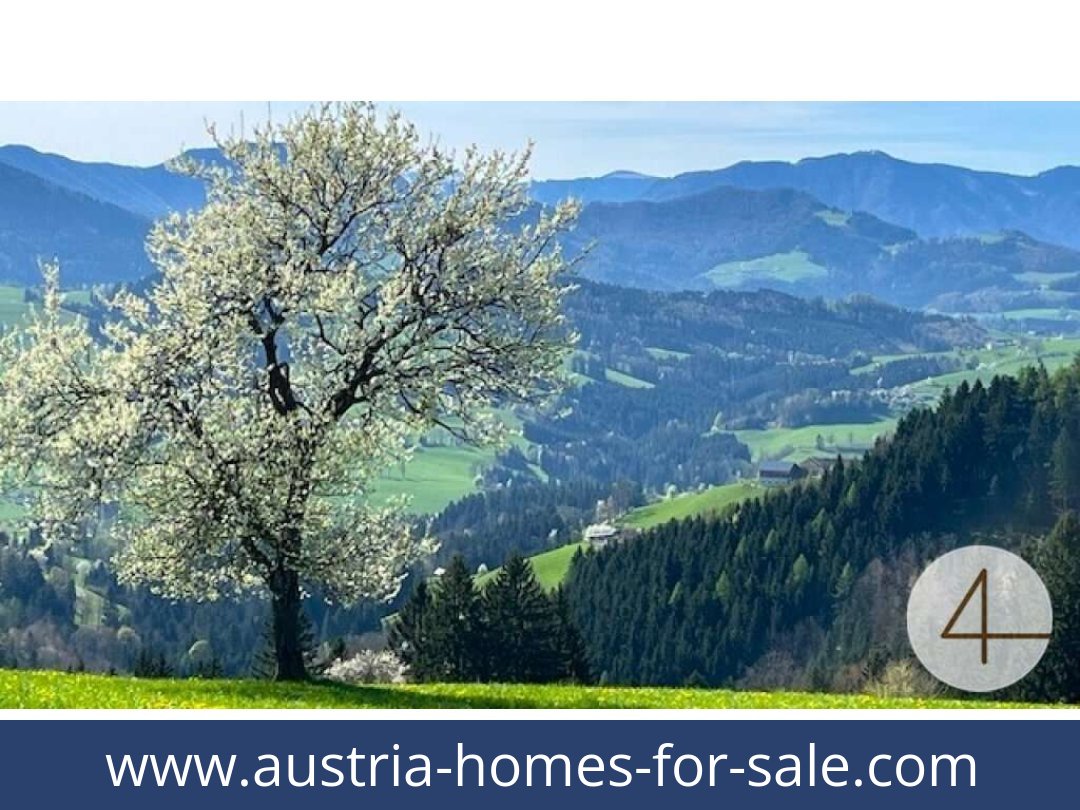 austria-homes-for-sale-perwarth-3263-20251127124805-0041201005.jpg