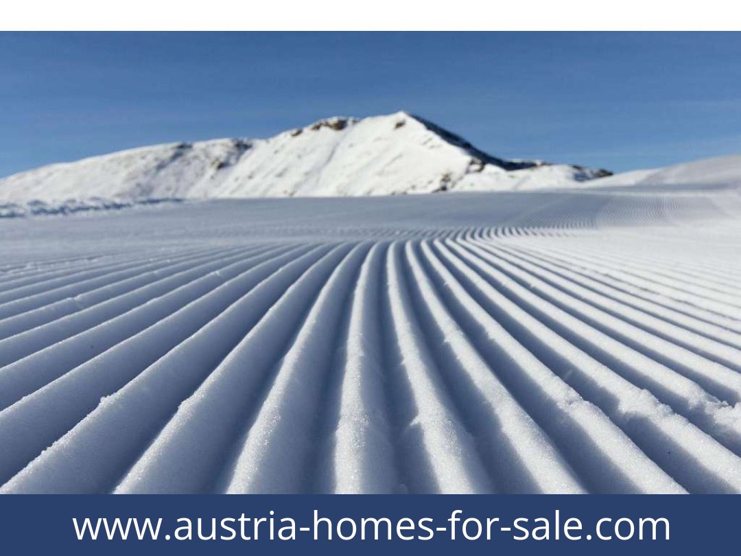 austria-homes-for-sale-predlitz-8864-20250921191830-0030101003.jpg