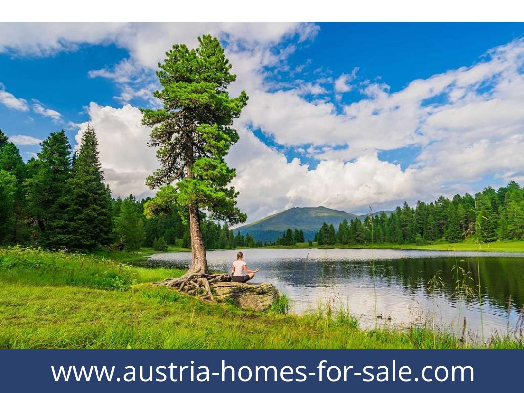 austria-homes-for-sale-predlitz-8864-20250921191830-0030101004.jpg