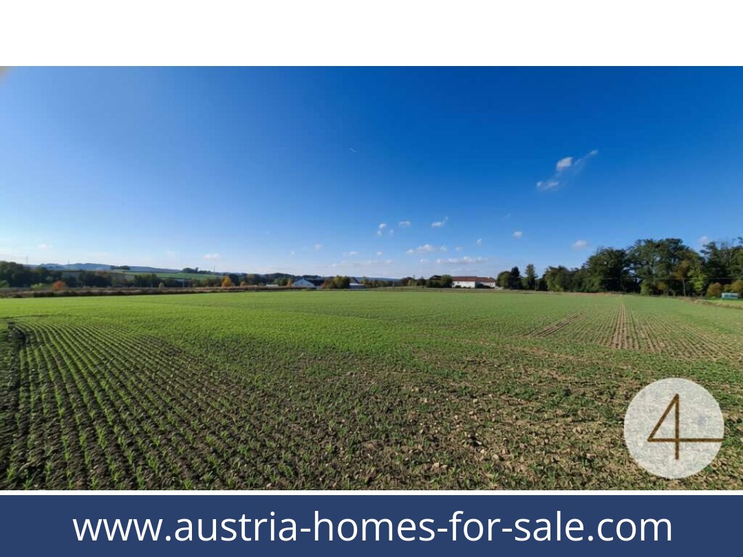 austria-homes-for-sale-ried-im-innkreis-4910-20261021084849-562095d5-0061101006.jpg