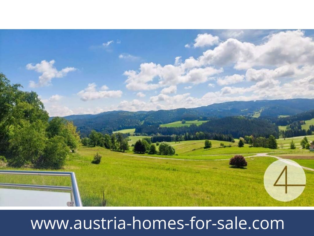 austria-homes-for-sale-schonbach-3633-20250918214841-0009801007.jpg