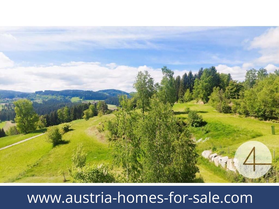 austria-homes-for-sale-schonbach-3633-20250918214841-0009801008.jpg