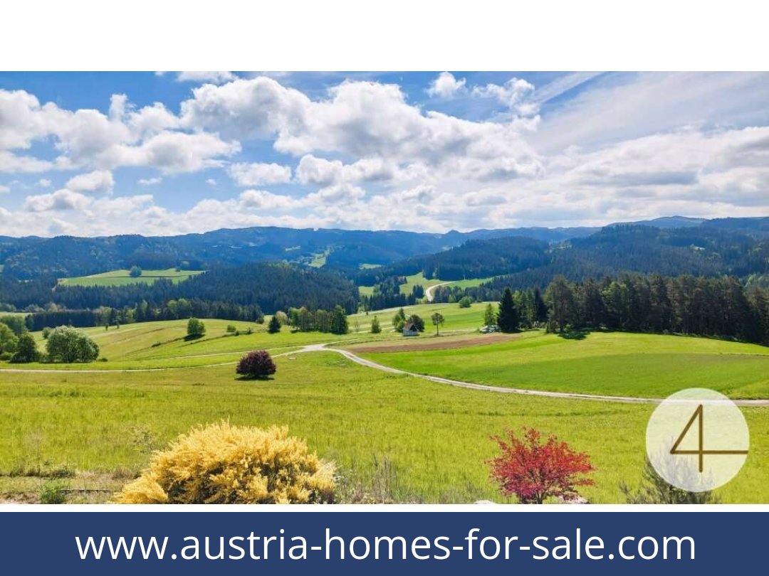 austria-homes-for-sale-schonbach-3633-20250918214841-0009801009.jpg