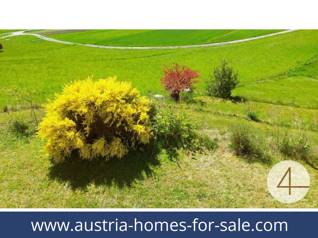 austria-homes-for-sale-schonbach-3633-20250918214841-0009801011.jpg