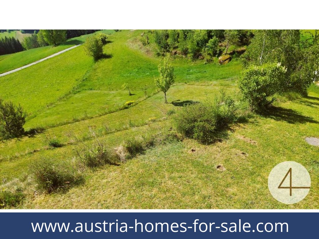 austria-homes-for-sale-schonbach-3633-20250918214841-0009801012.jpg