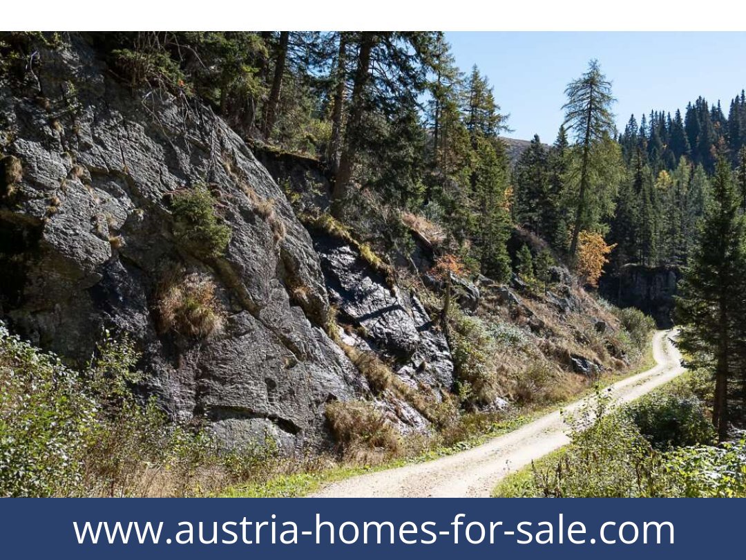 austria-homes-for-sale-st-gertraud-9413-20261021221353-3a51526e-0034901019.jpg