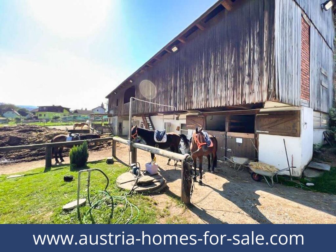 austria-homes-for-sale-voitsberg-8570-20250919004855-0010601029.jpg