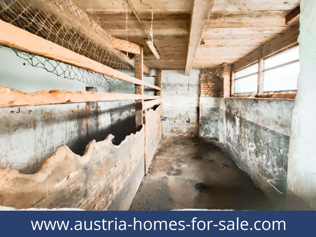 austria-homes-for-sale-voitsberg-8570-20250919004855-0010601031.jpg