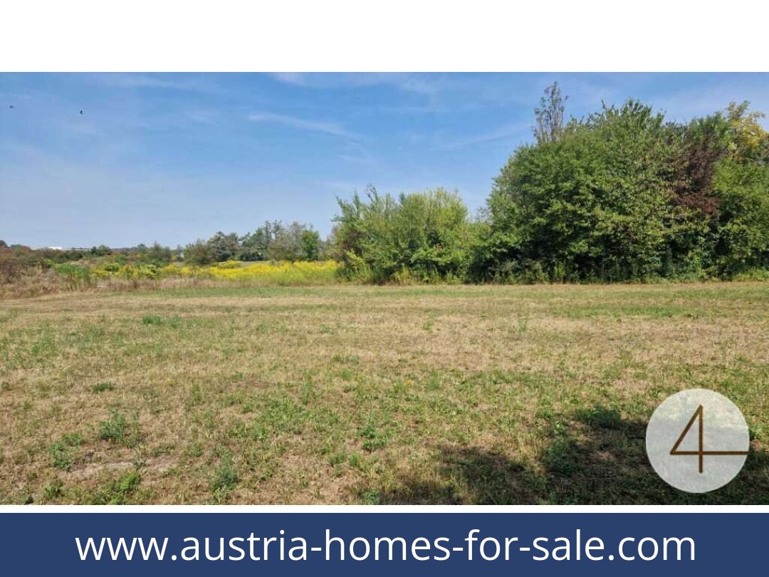 austria-homes-for-sale-wels-4600-20251201044804-0042301001.jpg