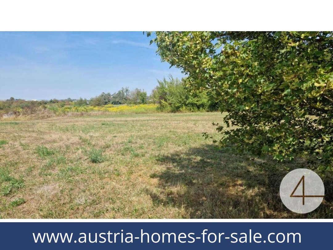 austria-homes-for-sale-wels-4600-20251201044804-0042301002.jpg