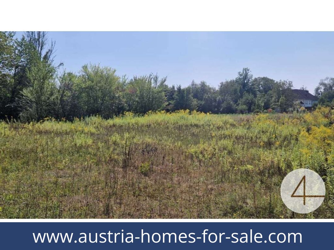 austria-homes-for-sale-wels-4600-20251201044804-0042301003.jpg
