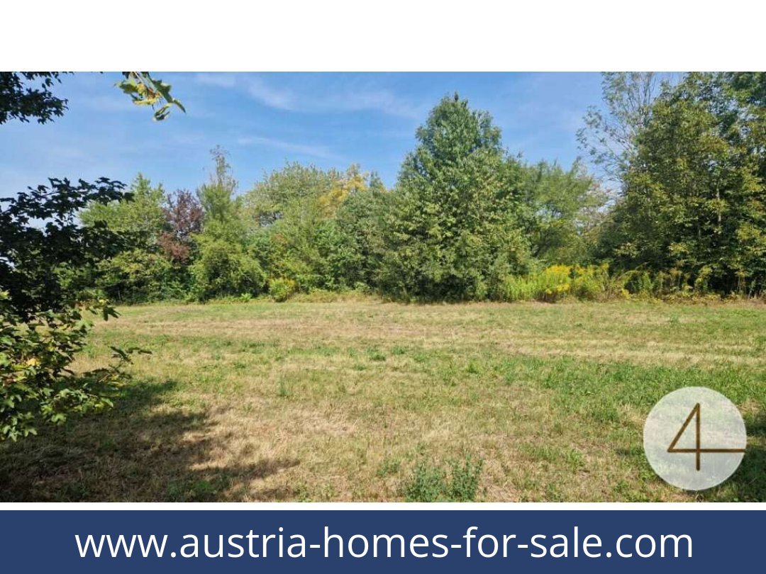 austria-homes-for-sale-wels-4600-20251201044804-0042301004.jpg